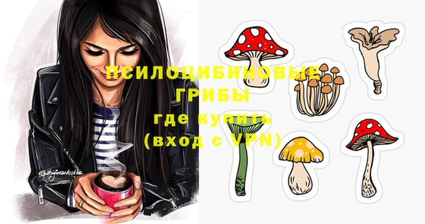 винт Армянск