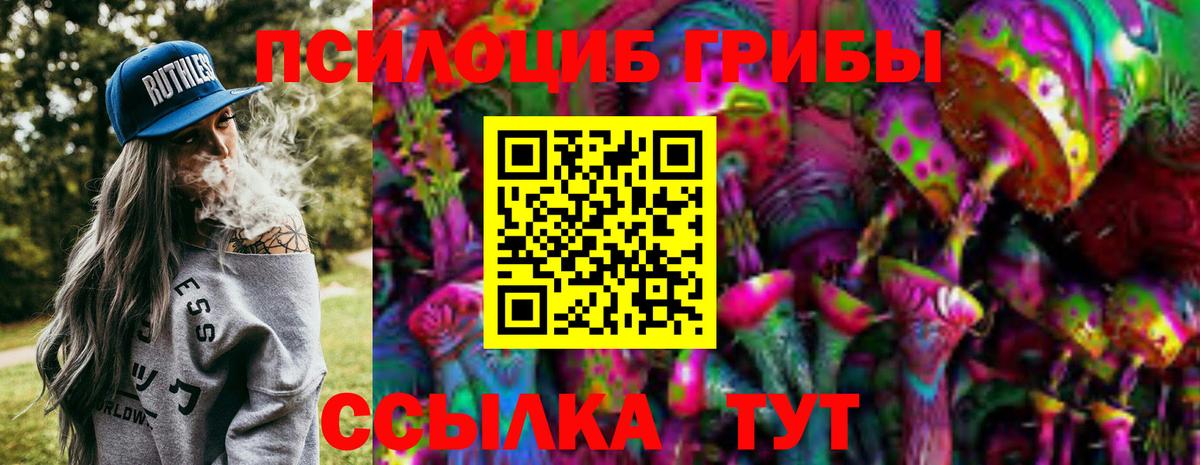 Псилоцибиновые грибы прущие грибы Нарткала