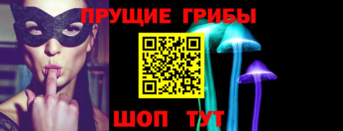 Псилоцибиновые грибы Psilocybe  Галлюциногенные грибы ЛСД  Нарткала  Вход с VPN 